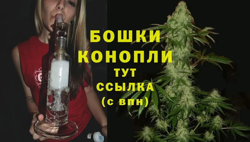 купить наркотики сайты  Ефремов  Бошки марихуана OG Kush 